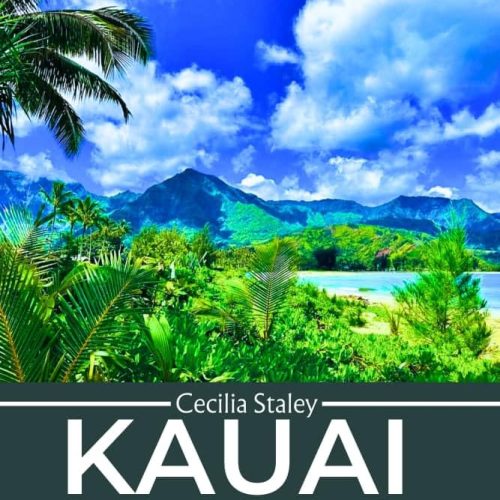 Kauai Travel Guide 2025 : Uncover The Best Beaches, Hikes,